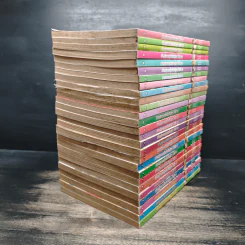 หนังสือการ์ตูน เจ้าหญิงจอมจุ้นกับรักวุ่นๆในวัง 27 เล่มจบ รูปที่ 4