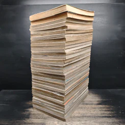 สาวแกร่งแรงเกินร้อย เล่ม 1-5,7-8,10-36 รูปที่ 3