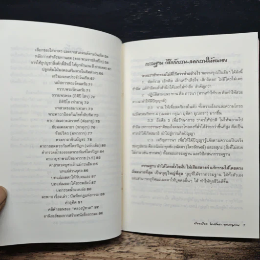 แก้กรรม! ทำเองได้ - จิตศรัทธา พุทธานุภาพ รูปที่ 7