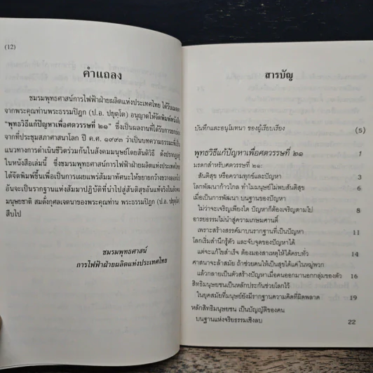 พุทธวิธีแก้ปัญหาเพื่อศตวรรษที่ 21 - พระธรรมปิฎก รูปที่ 7