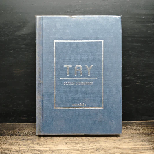 Try - วงศ์ทนง ชัยณรงค์สิงห์ รูปที่ 1