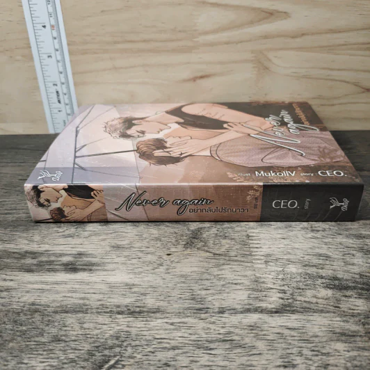 Never again อย่ากลับไปรักนาวา - CEO รูปที่ 2