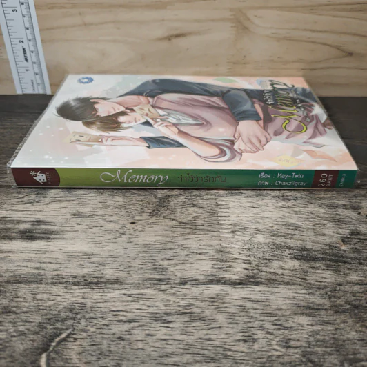 Memory จำไว้ว่ารักกัน - May -Twin รูปที่ 2