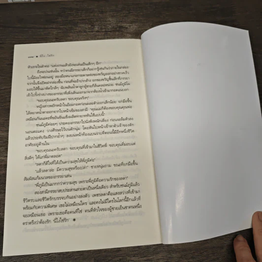 นี่ไง...ใช่รัก - เมญาณี รูปที่ 8