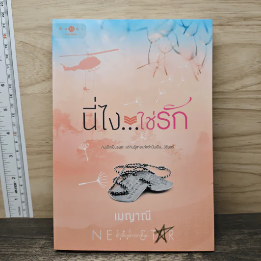 นี่ไง...ใช่รัก - เมญาณี รูปที่ 1