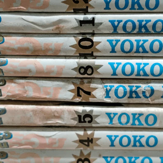 สาวแกร่งแรงเกินร้อย เล่ม 1-5,7-8,10-36 รูปที่ 6