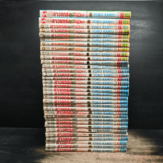 สาวแกร่งแรงเกินร้อย เล่ม 1-5,7-8,10-36 รูปที่ 2