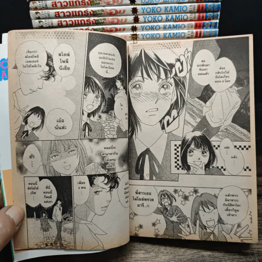 สาวแกร่งแรงเกินร้อย เล่ม 1-5,7-8,10-36 รูปที่ 10