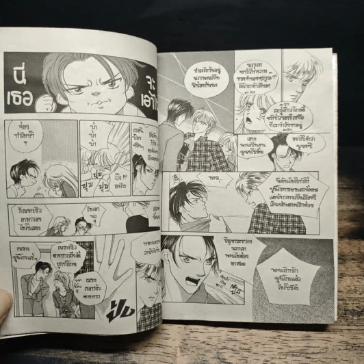 Wild Act สะดุดรักสาวจอมโจร 10 เล่มจบ รูปที่ 10