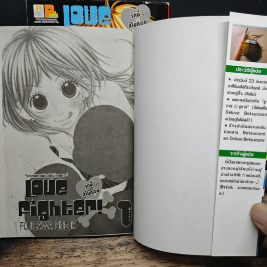 Love Fighter รักนี้สู้ไม่ถอย 2 เล่มจบ - Shizuki Fujisawa รูปที่ 6