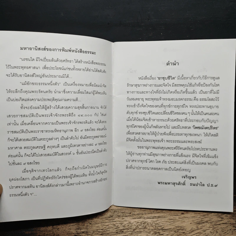 ยาชุบชีวิต - พระมหาสุรศักดิ์ ธนปาโล รูปที่ 6