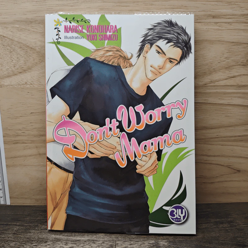 Don't Worry Mama - Narise Konohara รูปที่ 1