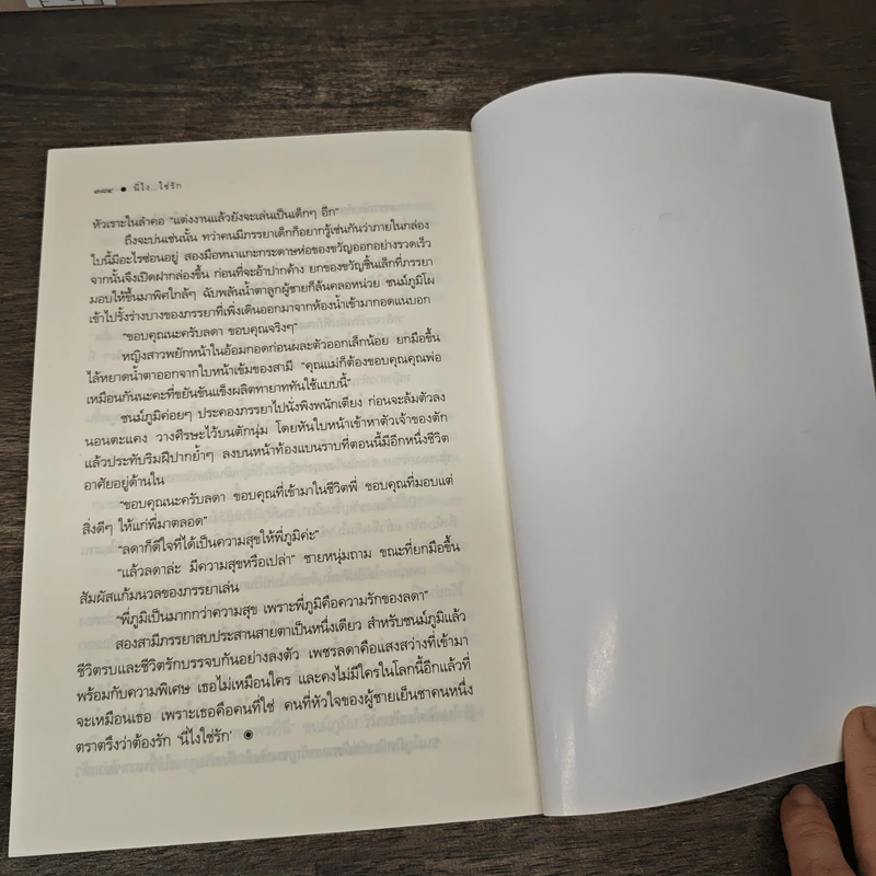 นี่ไง...ใช่รัก - เมญาณี รูปที่ 8