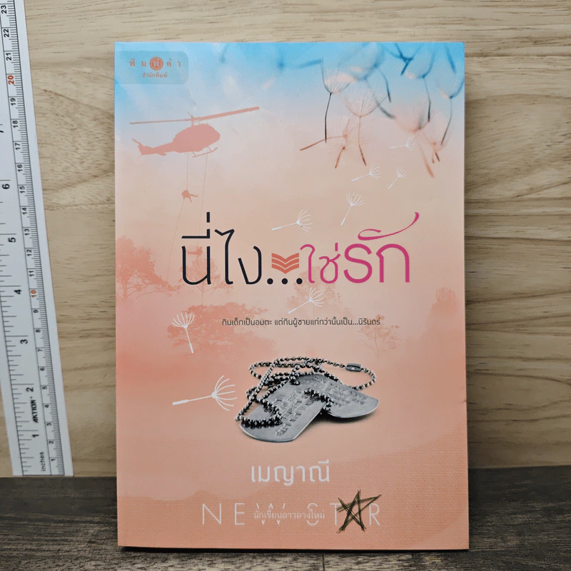 นี่ไง...ใช่รัก - เมญาณี รูปที่ 1