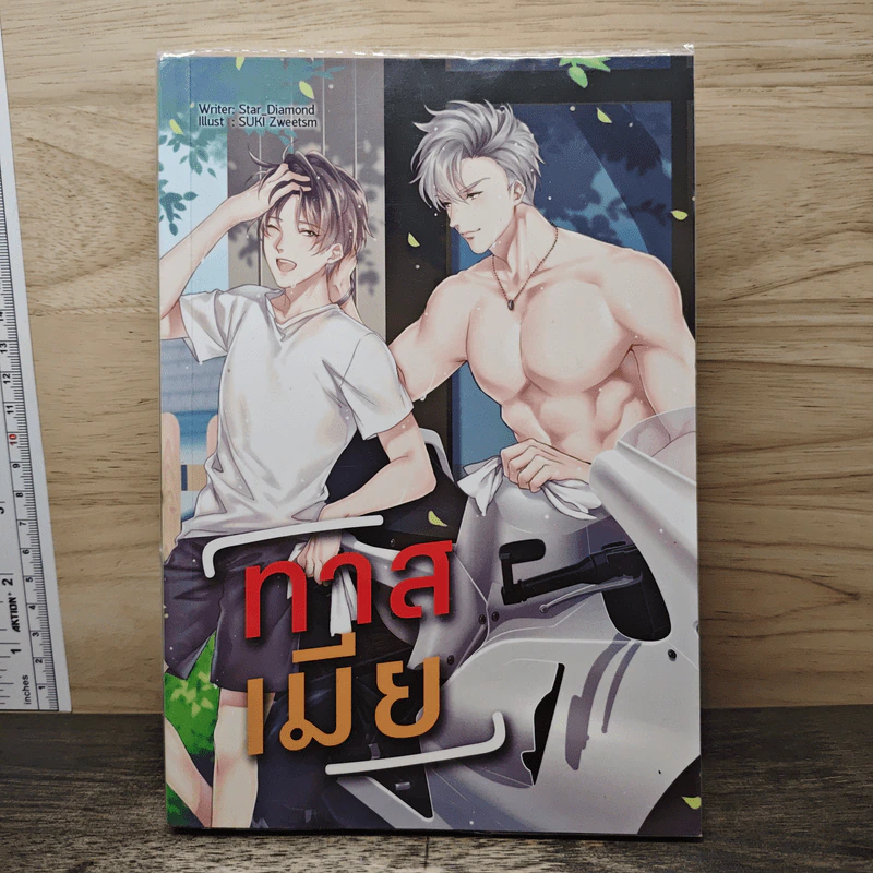 นิยายวาย ทาสเมีย - Star_Diamond รูปที่ 1