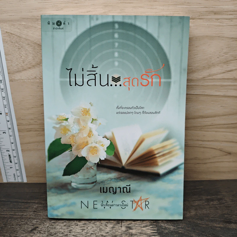 ไม่สิ้น...สุดรัก - เมญาณี รูปที่ 1