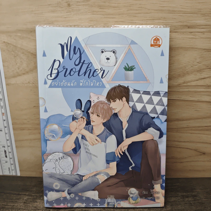 นิยายวาย My Brother อย่าอ้อนนัก พี่รักไม่ไหว - SunDear รูปที่ 1