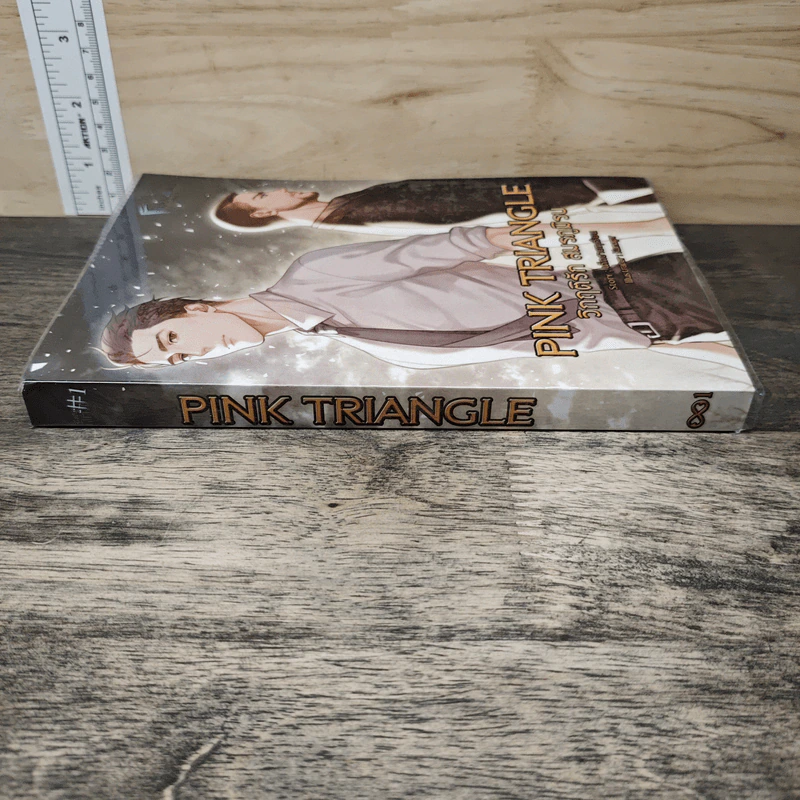 Pink Triangle วิกฤติรัก สมรภูมิรบ - เด็กชายทุเรียน รูปที่ 2