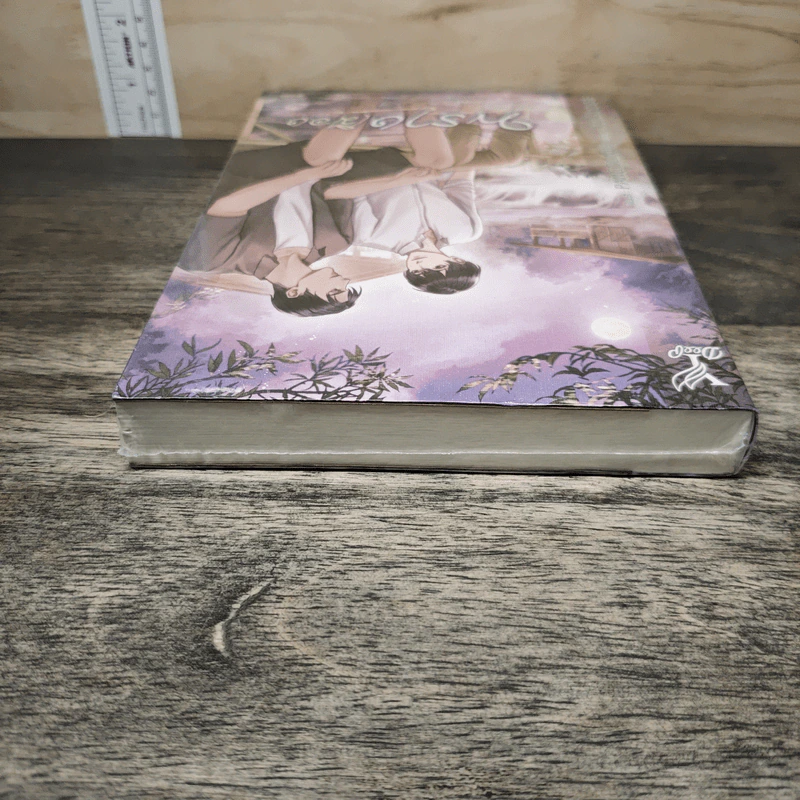 พรางเมือง - rolisrose รูปที่ 3