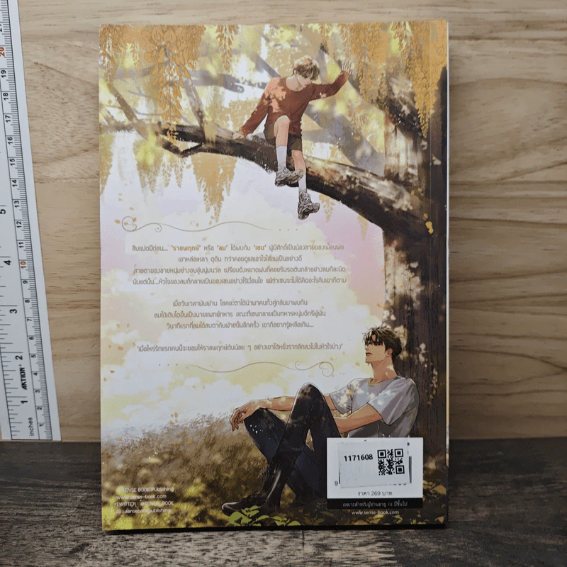 ราชพฤกษ์ - justwind รูปที่ 5