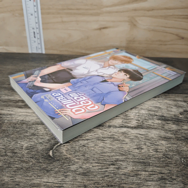 พี่สองสายแปด - Bear on the moon รูปที่ 3