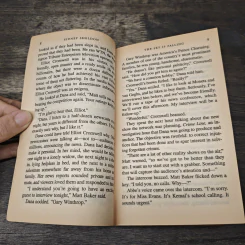 The Sky Is Falling - Sidney Sheldon รูปที่ 7