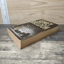 The Sky Is Falling - Sidney Sheldon รูปที่ 3