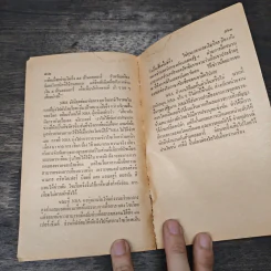 ชายชาติคืองานของมัน - แชพแมน พินเชอร์ รูปที่ 8
