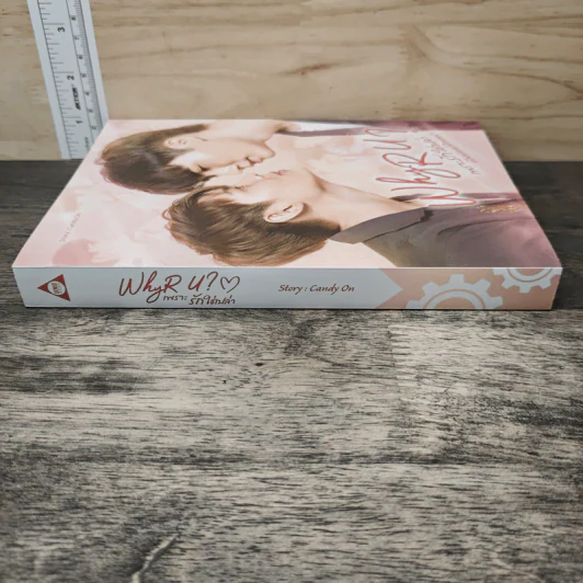 WHY R U ? เพราะรักใช่เปล่า - Candy On รูปที่ 2