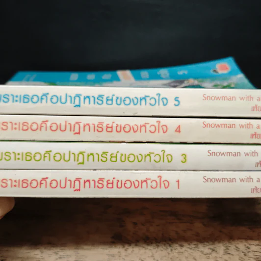เพราะเธอคือปาฏิหาริย์ของหัวใจ 5 เล่มจบ - Snowman with a cap, เฟ่ยหลาน รูปที่ 5