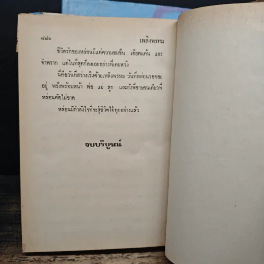 เพลิงพรหม 2 เล่มจบ - จามรี พรรณชมพู รูปที่ 8