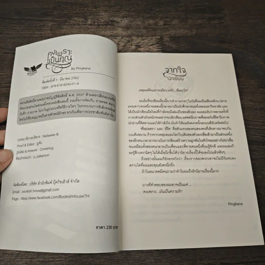 คงเพราะเป็นคุณ - Pingkana รูปที่ 6