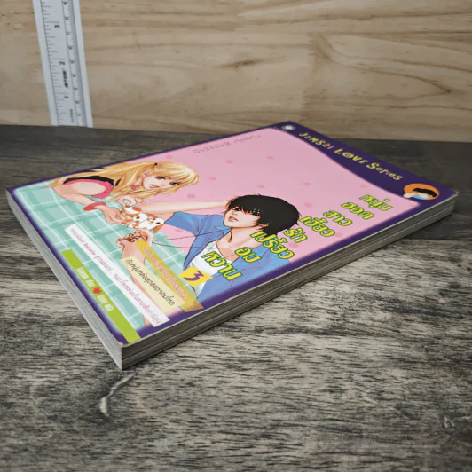 หนุ่มฮอตสาวเฮี้ยวรักเปรี้ยวอมหวาน ฉบับการ์ตูน เล่ม 3 - Guiyeoni รูปที่ 3