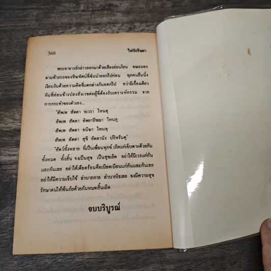 ไฟรักริษยา - รจเรข รูปที่ 8