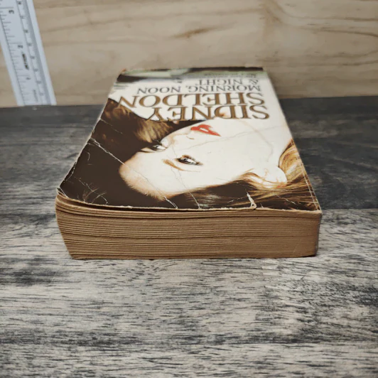 Morning, Noon & Night - Sidney Sheldon รูปที่ 4