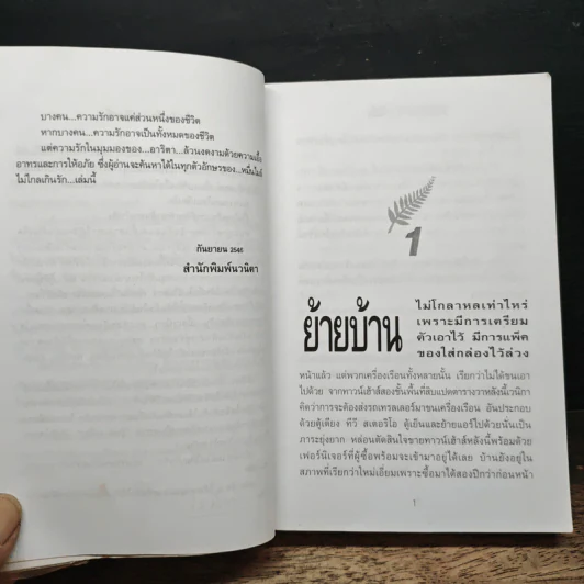 หมื่นไมล์ไม่ไกลเกินรัก - อาริตา รูปที่ 8