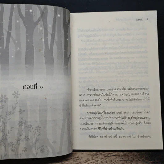 ย้อนรอยรัก อาณาจักรฟาโรห์ - ช่อนารา รูปที่ 7