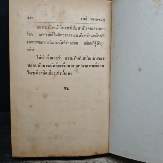 เปลวอารมณ์ - จามรี พรรณชมพู รูปที่ 8