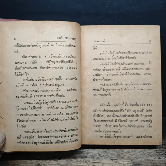 เปลวอารมณ์ - จามรี พรรณชมพู รูปที่ 7
