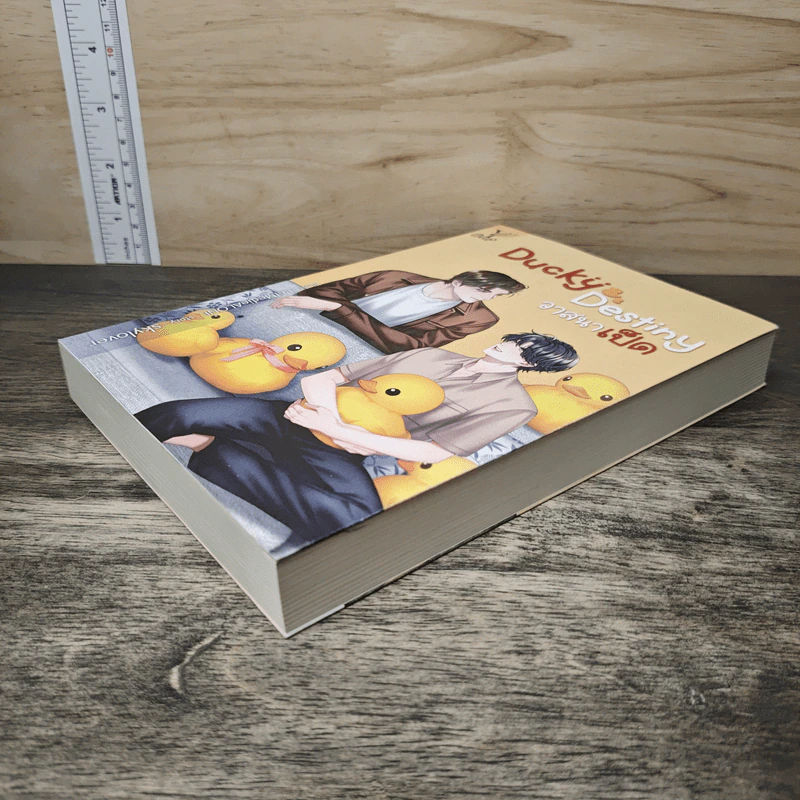 Ducky Destiny วาสนาเป็ด - skylover รูปที่ 3