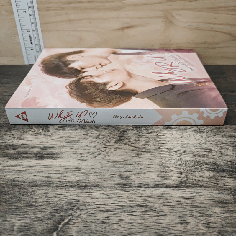 WHY R U ? เพราะรักใช่เปล่า - Candy On รูปที่ 2