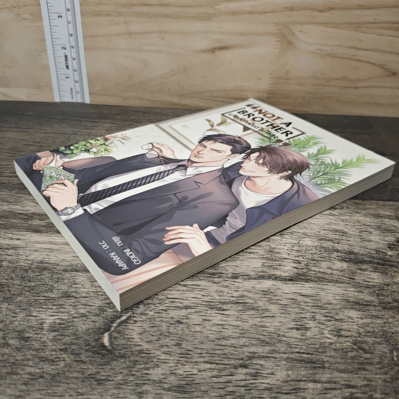Not A Brother มากกว่าพี่แต่ไม่ใช่ลุง - Indigo รูปที่ 3