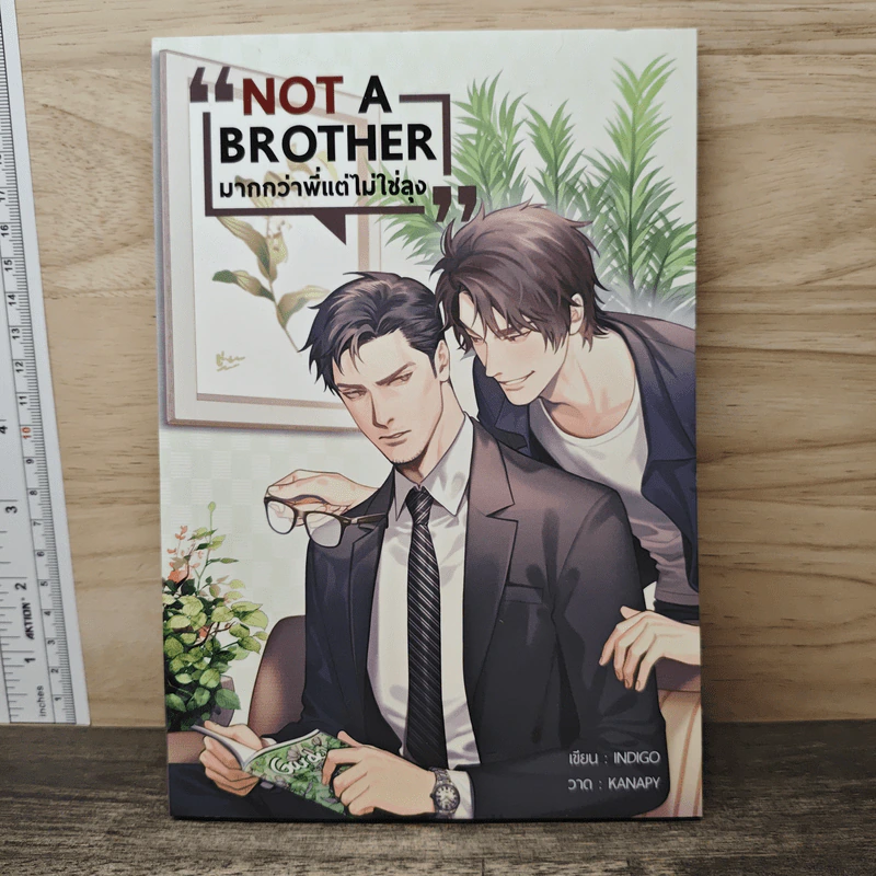 Not A Brother มากกว่าพี่แต่ไม่ใช่ลุง - Indigo รูปที่ 1