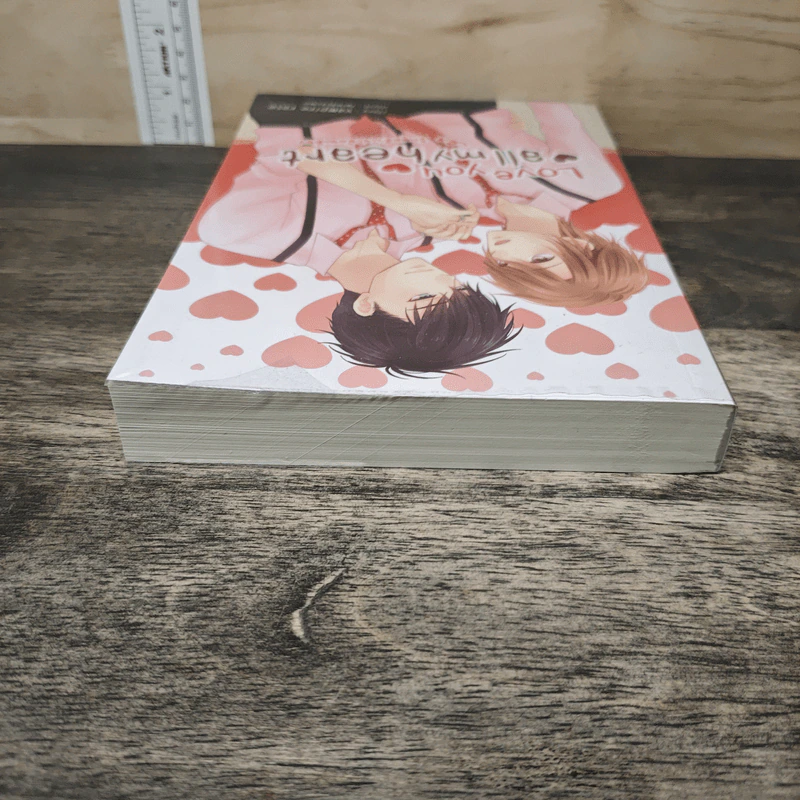 Love you all my heart รักสุดหัวใจให้คนเดียว - vampire rose รูปที่ 4