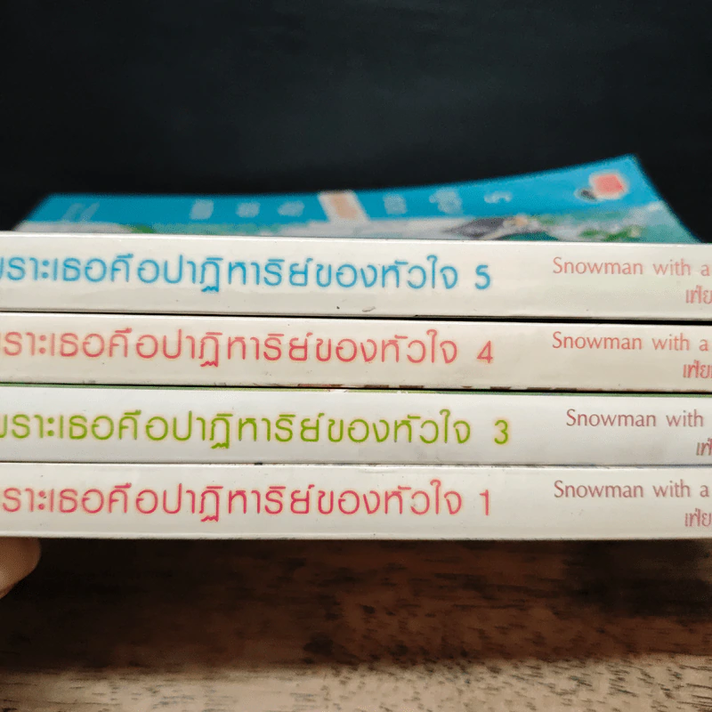 เพราะเธอคือปาฏิหาริย์ของหัวใจ 5 เล่มจบ - Snowman with a cap, เฟ่ยหลาน รูปที่ 5