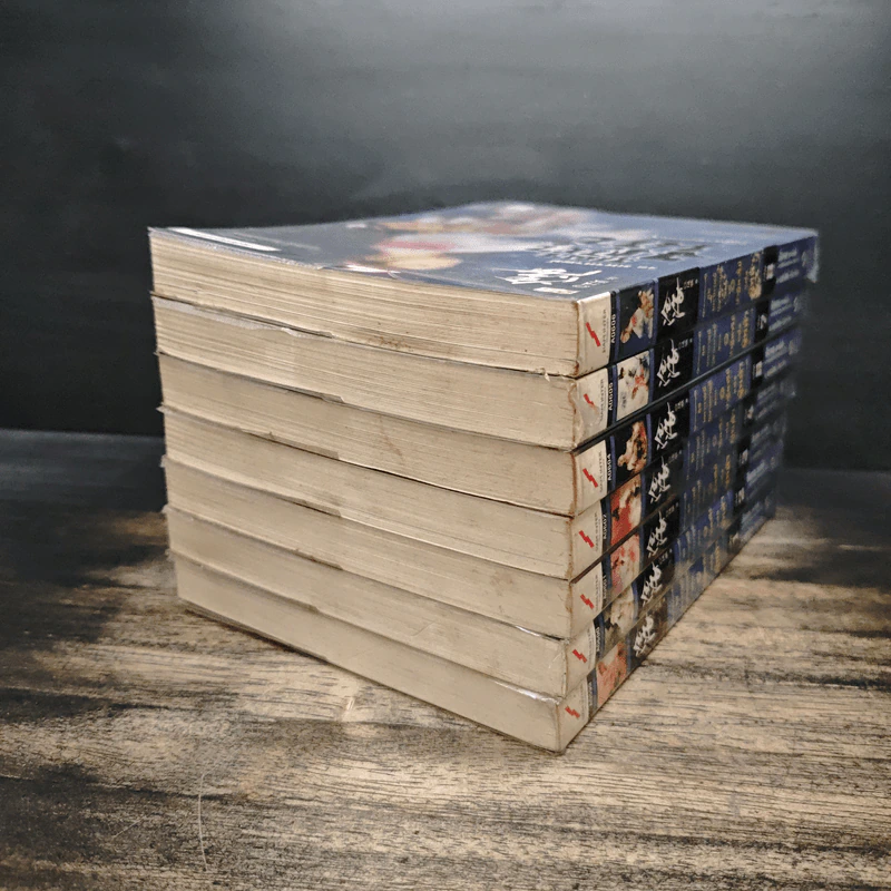 ชุดมหากาพย์ ภูผามหานที ตอน ปาฏิหาริย์แห่งผู้กล้า 8 เล่มจบ (ขาดเล่ม 5) - น.นพรัตน์ รูปที่ 5