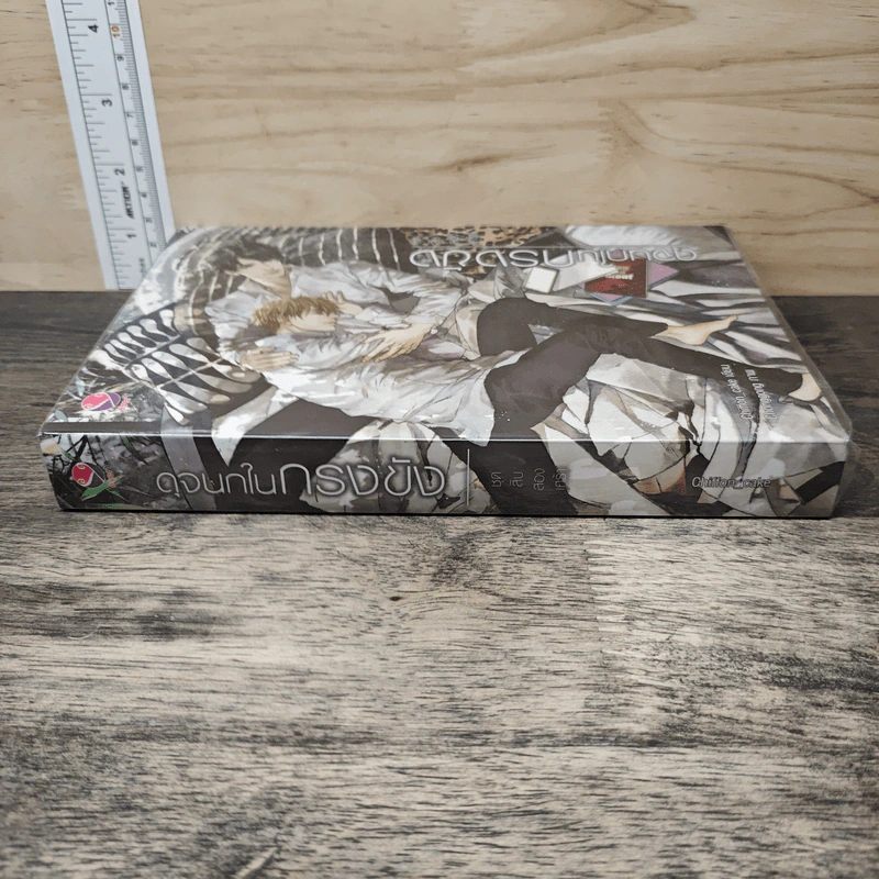 นิยายวาย ดุจนกในกรงขัง ชุดสิบสองเศร้า - Chiffon_cake รูปที่ 2