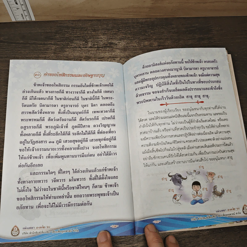 แผ่เมตตา 132 จบ - ศักดิ์สิทธิ์ พันธุ์สัตย์ รูปที่ 8
