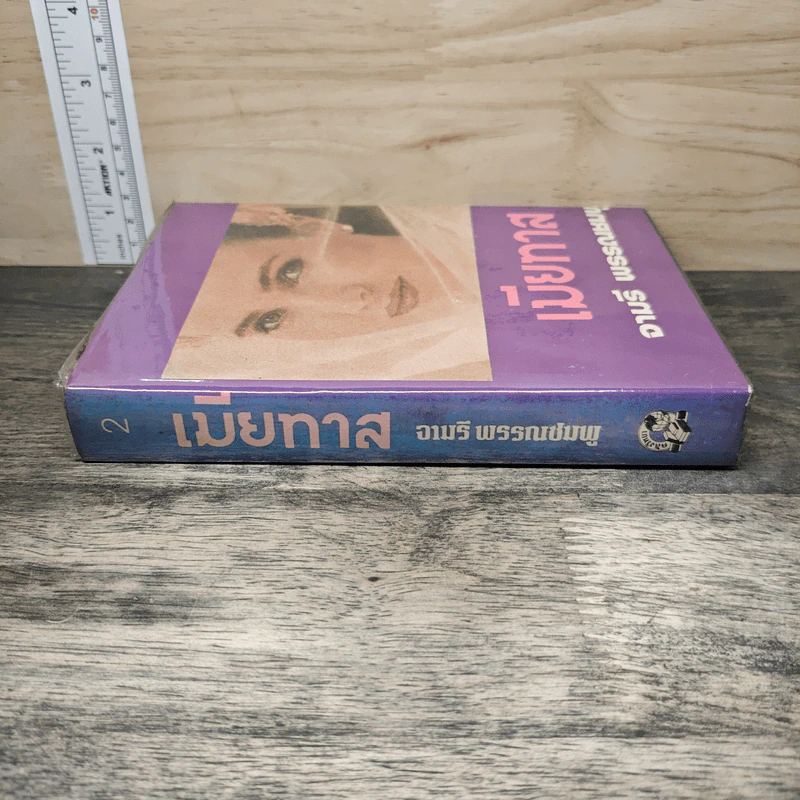 เมียทาส เล่ม 2 - จามรี พรรณชมพู รูปที่ 2