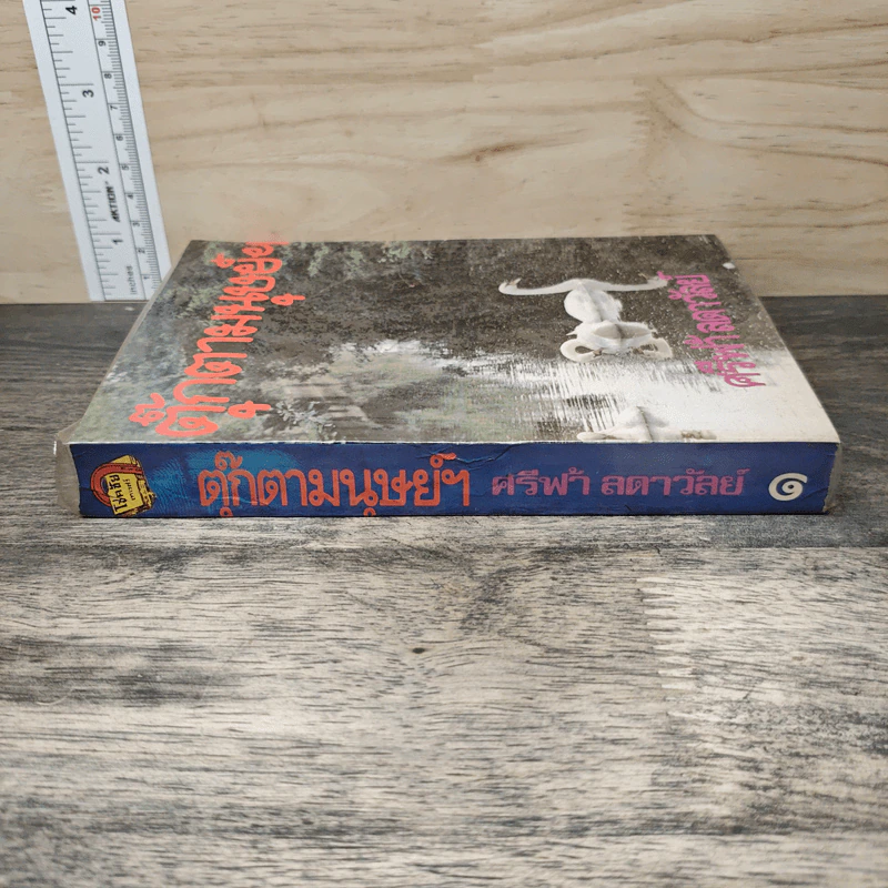 ตุ๊กตามนุษย์ฯ เล่ม 1 - ศรีฟ้า ลดาวัลย์ รูปที่ 2